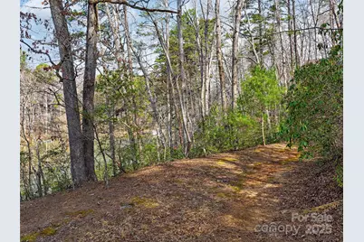 Lot 27 South Cove Road, Mill Spring, NC 28756 - Photo 5