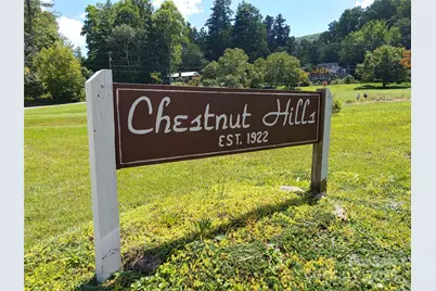 0000 Thomasville Lane, Gerton, NC 28735 - Photo 1