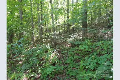 0000 Thomasville Lane, Gerton, NC 28735 - Photo 3