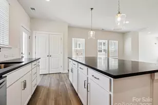 1417 Lithium Ln, Charlotte, NC 28211 - Photo 13