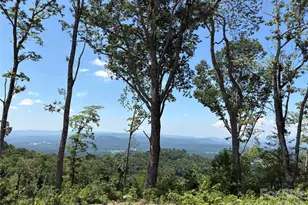 Lot 50 Mountain Grove Ln, Fletcher, NC 28732 - Photo 1