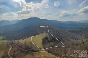 999 Chestnut Mountain Dr, Green Mountain, NC 28740 - Photo 5