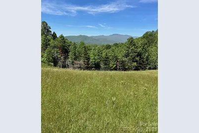 999 Chestnut Mountain Drive, Green Mountain, NC 28740 - Photo 27