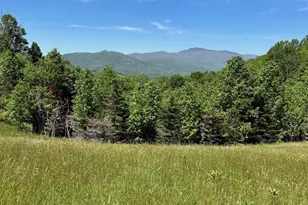 999 Chestnut Mountain Dr, Green Mountain, NC 28740 - Photo 27