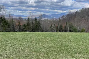 999 Chestnut Mountain Dr, Green Mountain, NC 28740 - Photo 19