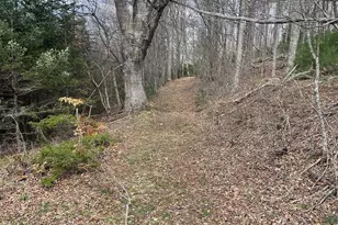 999 Chestnut Mountain Dr, Green Mountain, NC 28740 - Photo 13