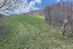 999 Chestnut Mountain Dr, Green Mountain, NC 28740 - Photo 17