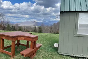 999 Chestnut Mountain Dr, Green Mountain, NC 28740 - Photo 9