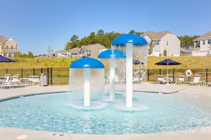 113 Asmodean Ln, Troutman, NC 28166 - Photo 37