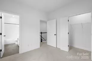 189 Cherry Spgs Ln, Asheville, NC 28804 - Photo 19