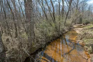 582 County Line Rd, Rutherfordton, NC 28139 - Photo 27