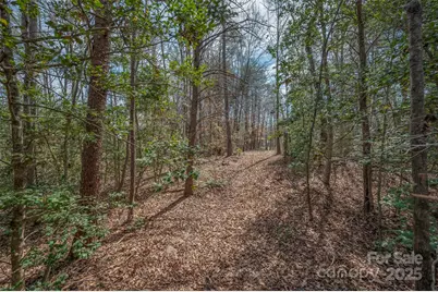 582 County Line Road, Rutherfordton, NC 28139 - Photo 21