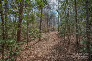582 County Line Rd, Rutherfordton, NC 28139 - Photo 21