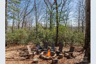75 Deep Woods Road, Mills River, NC 28759 - Photo 41