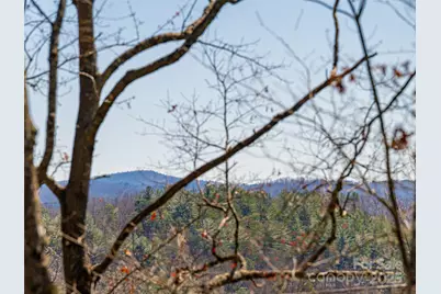 75 Deep Woods Road, Mills River, NC 28759 - Photo 3