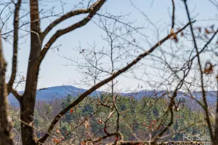 75 Deep Woods Rd, Mills River, NC 28759 - Photo 3