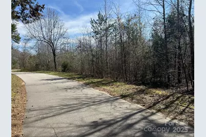 Tbd Green Pond Road, Indian Land, SC 29707 - Photo 21
