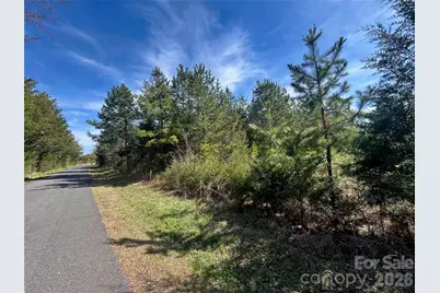 Tbd Green Pond Road, Indian Land, SC 29707 - Photo 5