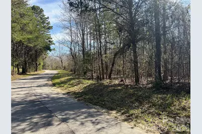 Tbd Green Pond Road, Indian Land, SC 29707 - Photo 13