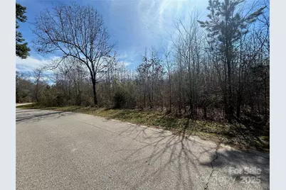 Tbd Green Pond Road, Indian Land, SC 29707 - Photo 23
