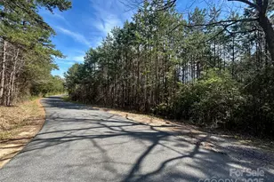 Tbd Green Pond Rd, Indian Land, SC 29707 - Photo 1