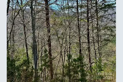 0 Pinegrove Drive, Bostic, NC 28018 - Photo 21