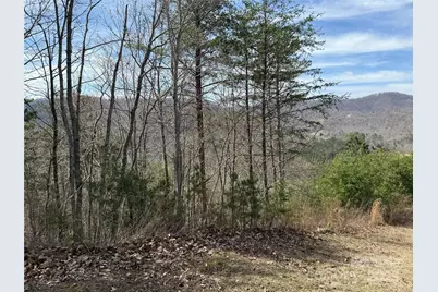 0 Pinegrove Drive, Bostic, NC 28018 - Photo 13