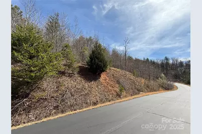 0 Pinegrove Drive, Bostic, NC 28018 - Photo 11