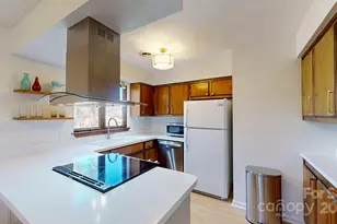 50 Maxine Ln, Hendersonville, NC 28739 - Photo 11