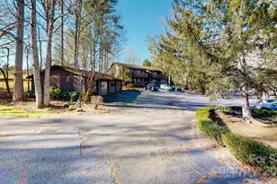 50 Maxine Ln, Hendersonville, NC 28739 - Photo 31