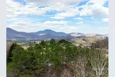 999 Coyote Hollow Road #39, Waynesville, NC 28785 - Photo 3