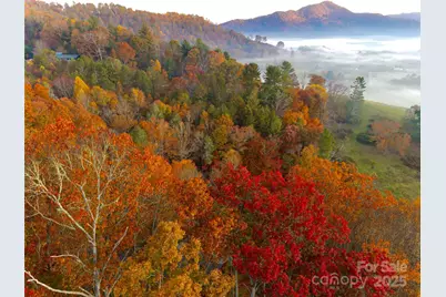 999 Coyote Hollow Road #39, Waynesville, NC 28785 - Photo 1