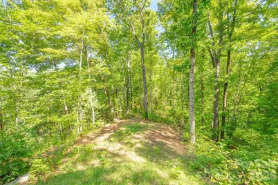 145 Mountain Forest Drive, Union Mills, NC 28167 - Photo 29