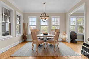 21311 Baltic Dr, Cornelius, NC 28031 - Photo 11