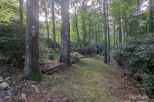 116 Minerva Ln, Sapphire, NC 28774 - Photo 41