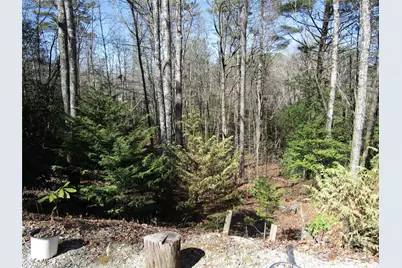 116 Minerva Lane, Sapphire, NC 28774 - Photo 37