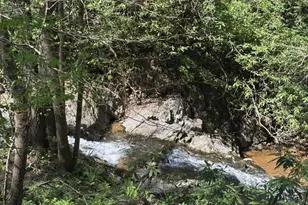 324 Marble Mine Rd, Bakersville, NC 28705 - Photo 43