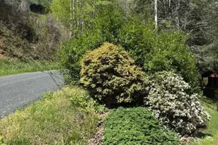 324 Marble Mine Rd, Bakersville, NC 28705 - Photo 27