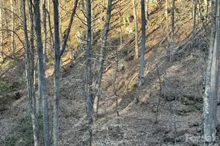 324 Marble Mine Rd, Bakersville, NC 28705 - Photo 5