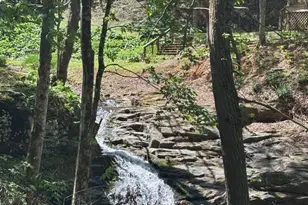 324 Marble Mine Rd, Bakersville, NC 28705 - Photo 43