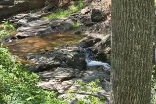 324 Marble Mine Rd, Bakersville, NC 28705 - Photo 41