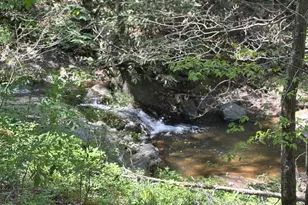 324 Marble Mine Rd, Bakersville, NC 28705 - Photo 45