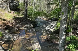 324 Marble Mine Rd, Bakersville, NC 28705 - Photo 39