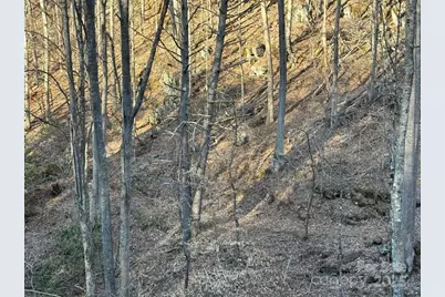 324 Marble Mine Road, Bakersville, NC 28705 - Photo 5