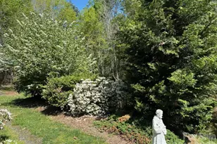 324 Marble Mine Rd, Bakersville, NC 28705 - Photo 25