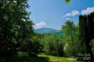 38 Buchanan Hill Rd, Bakersville, NC 28705 - Photo 3