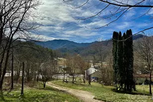 38 Buchanan Hill Rd, Bakersville, NC 28705 - Photo 21