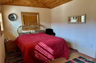 38 Buchanan Hill Rd, Bakersville, NC 28705 - Photo 11