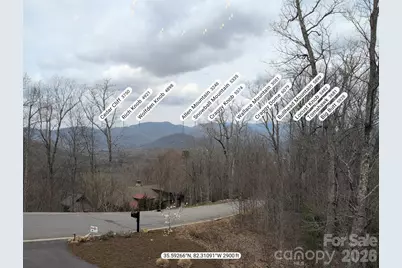 159 Settings Boulevard, Black Mountain, NC 28711 - Photo 45