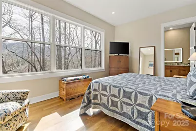 159 Settings Boulevard, Black Mountain, NC 28711 - Photo 19